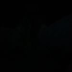 Aaron - @aaron.poulin5 - Instagram