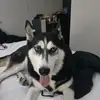 Aaron Poisson - @aaron.poisson - TikTok