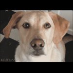 Aaron Powers - @gooberdude - Instagram