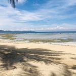 Aaron Pratt - @pratthawaii - Instagram