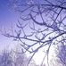 Aaron Pressman - Facebook