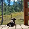 aaronpemrick - @aaronpemrick - TikTok