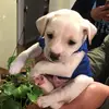 aaron_proviencealvar - @aaron_provienceal - TikTok