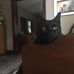 Aaron Ptacek - Facebook