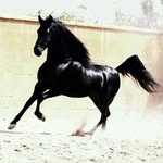 Aaron Puente - @aaron.puente.338 - Instagram
