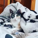 aaron puerto - @aaron_puerto - Instagram