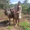 aaronpuerto4 - @aaronpuerto4 - TikTok