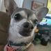 Aaron Buffenbarger - Facebook