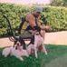 Aaron Puffer - Facebook