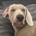 Aaron Pulsifer - Facebook