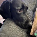 Aaron Purser - @aaron.purser.9 - Instagram
