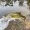 Aaron Purser - @aaron.purser6 - TikTok