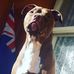 Aaron Pyke - Facebook