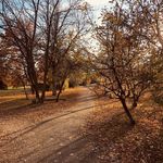 Aaron Pykes - @aaronpykes - Instagram
