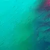 Aaron Peyron - @aaronpeyron - TikTok