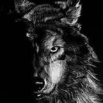 Aaron Pyron - Facebook
