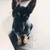 I'm ugly and Im good - @aaron.aqua.io - TikTok