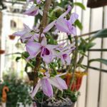 Aaron Quách - @na57735 - Instagram