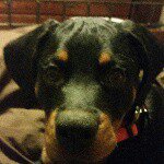 Aaron - @aaron_qualls - Instagram