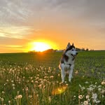 Aaron Quandt - @aaronquandt - Instagram