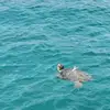 Aaron Quarman - @aaron.quarman - TikTok