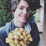 Aaron Queen - @foragers_nc - Instagram