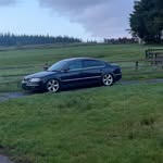 Aaron Queenan - @queenanaaron - Instagram