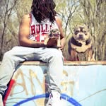 Queen city bullys/American Bully - @queencitybullys__aaron - Instagram