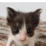Aaron Quesenberry - @aaronquiz9 - Instagram