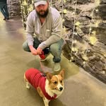Aaron Quick - @aaron.quick.52090 - Instagram