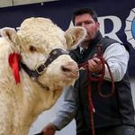 Aaron Quigley - @aaronb.quigley - Instagram