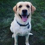 Brayden Aaron Quimby - @braydenquimby.5 - Instagram
