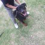 Aaron Quiroga Andrade - @aaronquirogaandrade - Instagram