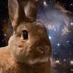 Aarbbit - @aaron_rabbitt - Instagram