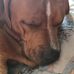 Aaron Rabe - Facebook