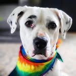 Aaron Rabinowitz - @aaronrabinowitz - Instagram