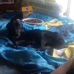 Aaron Rader - @lil_devs_bro - Instagram