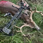 Aaron Ragland - @aaron_ragland - Instagram