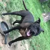 Aaron ragon - @aaronragon2344 - TikTok