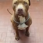 Aaron gabriel ragusa castro - @gabi20026 - Instagram