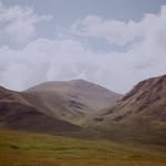 Aaron Rahimi - @aaronrahimi213 - Instagram
