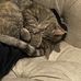 Aaron Rahimi - Facebook