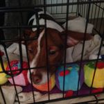 Aaron Rainey - @aaron.rainey.507 - Instagram