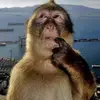 aaronrmzz - @aaronrami - TikTok