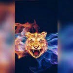 aaron ramcharan - @aaronramcharan - Instagram