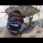 Aaron Ramey - @redfish_life - Instagram