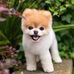 Aaron Ramroop - Facebook