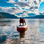 Aaron Randle - @aaron__randle - Instagram