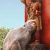 Aryan Ranjan - Facebook