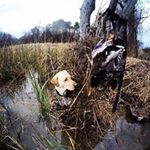 Aaron Ratcliff - @morat_31 - Instagram
